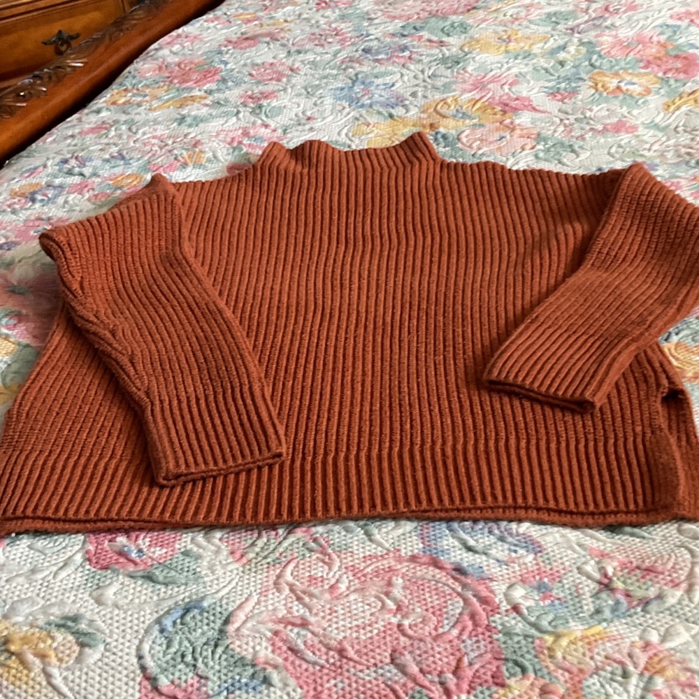 Max Studio Rust Ribbed Turtleneck Sweater
